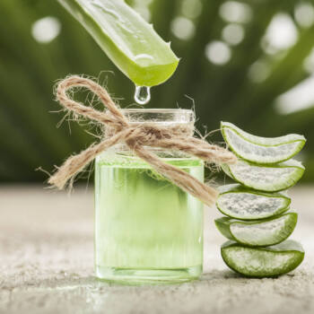 Aloe Vera inner filet ingredient highlight