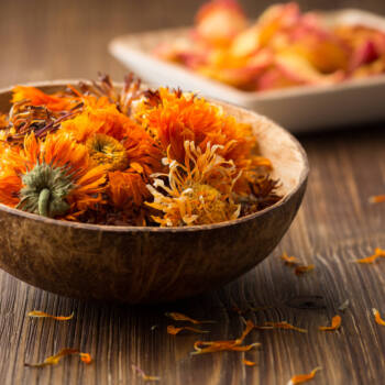 Calendula Flowers Ingredient Highlight