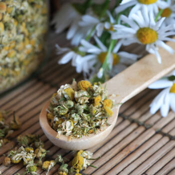 An image of the chamomile herb that is used in TS Skin Care's Zit-O Spot Treatment acne liquid