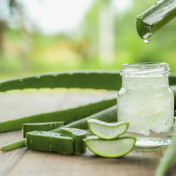 Closeup of aloe vera gel used in used in TS Skin Care's Blue Lotion Night Treatment