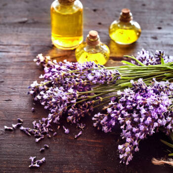 Closeup of lavender oil used in used in TS Skin Care's Blue Lotion Night Treatment