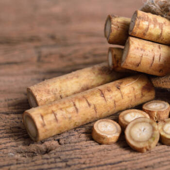 burdock root ingredient highlight