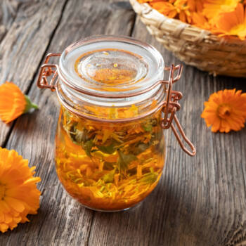 Calendula Oil Ingredient Highlight