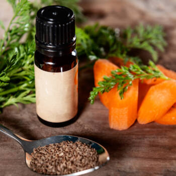 Carrot Seed Oil ingredient highlight