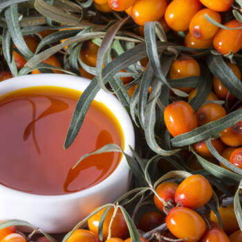 sea buckthorn ingredient highlight