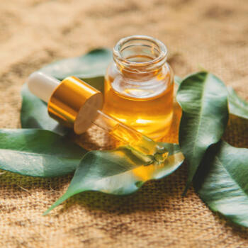 Closeup of tea tree oil used in used in TS Skin Care's Blue Lotion Night Treatment