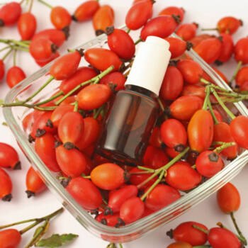 Rosa Mosqueta Oil (Rosehip Seed Oil)