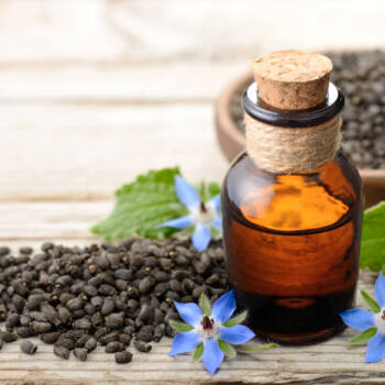 borage seed oil