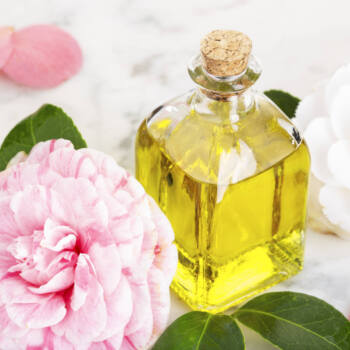 Camellia oil