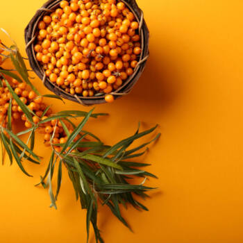 Sea Buckthorn Oil