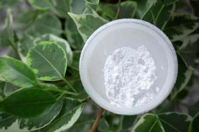 Mineral,Powder,On,Background,Of,Green,Leaves.,Top,View,,Close-up, Zinc oxide powder in container with leaves in background
